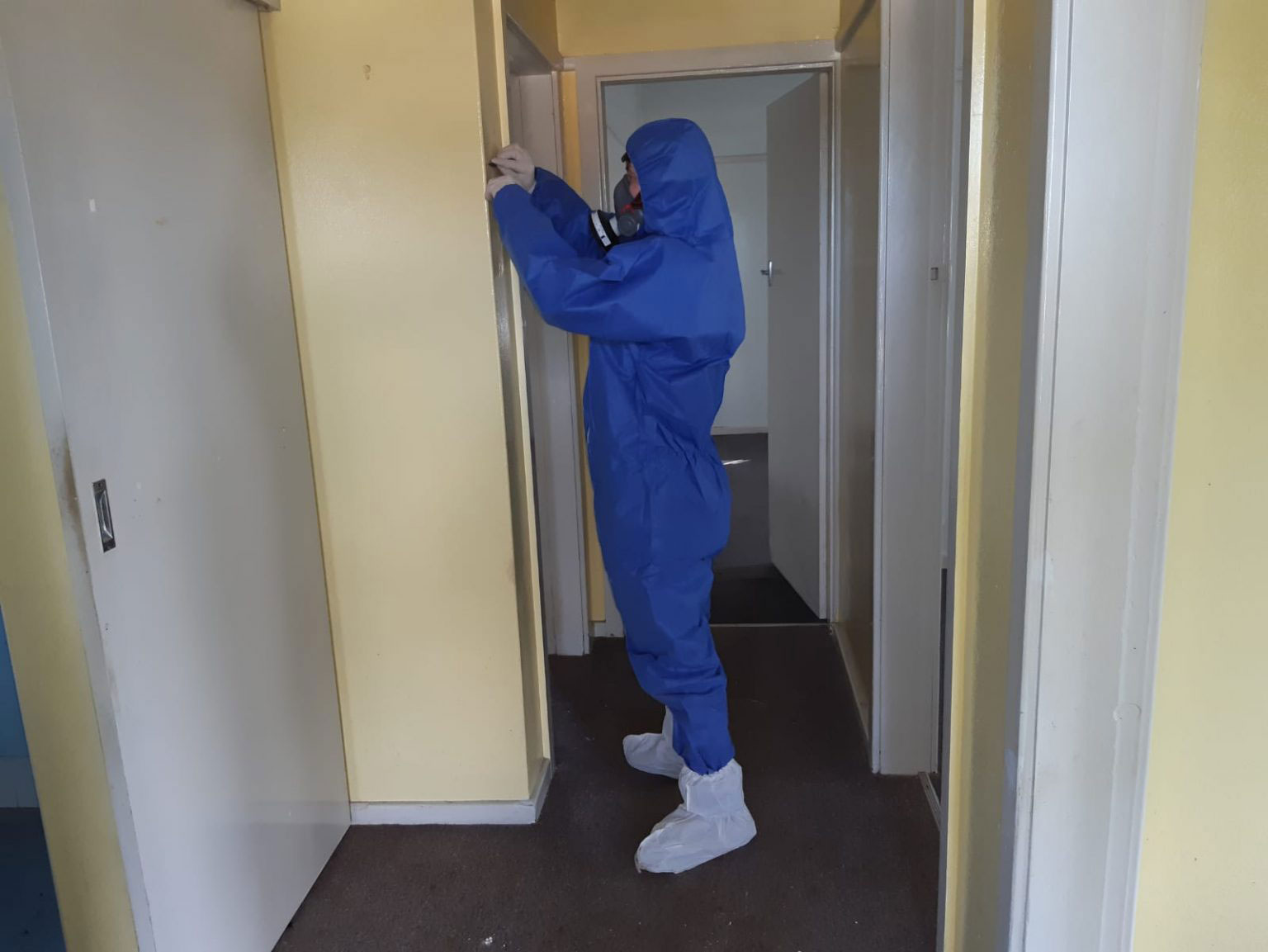 Lead Paint & Dust Inspections & Removal EnviroX Consulting