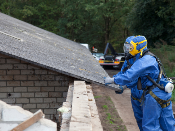 Asbestos inspection